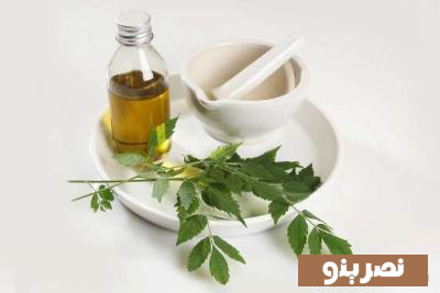 عصاره چریش برای رفع پوسیدگی دندان
