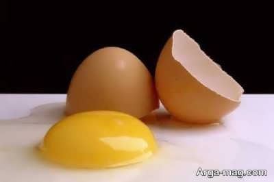 خواص و فواید زرده تخم مرغ
