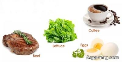 آشنایی با رژیم دانمارکی