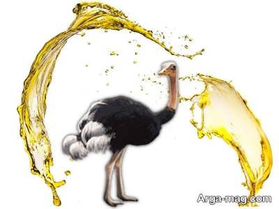 معرفی خواص روغن شترمرغ