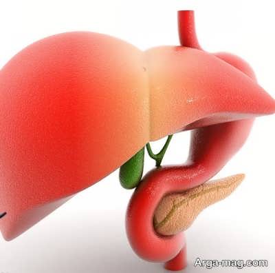 بیماری کبد چرب گرید 1 و راه های درمان آن
