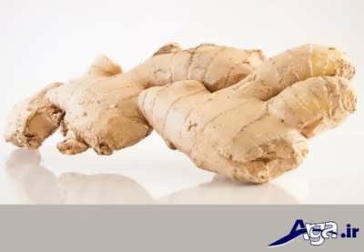 زنجبیل برای درمان عفونت معده