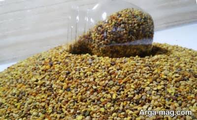 فواید گل گرده