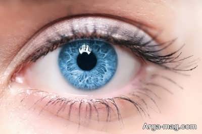 سلامت چشم با اسفناج