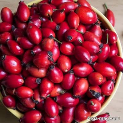 خواص میوه گل نسترن