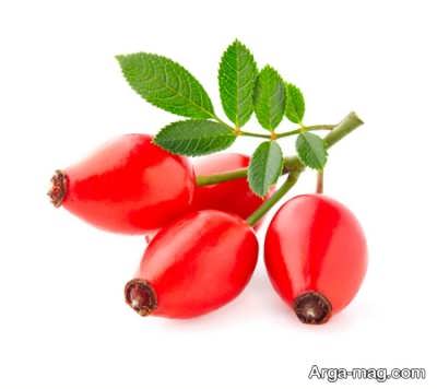 خواص میوه گل نسترن