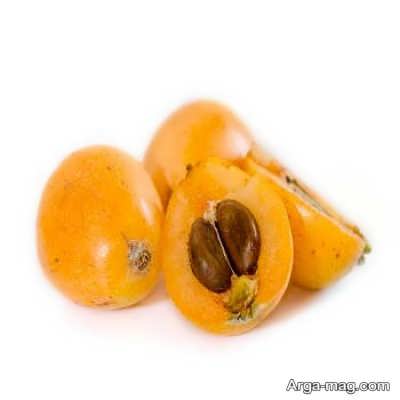 خاصیت های هسته ازگیل