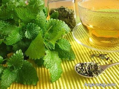 موارد منع مصرف دمنوش نعناع