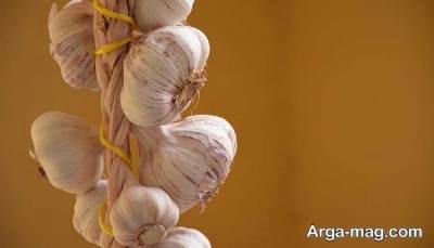 مواد لازم در برنامه غذایی کبد چرب