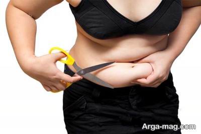 رژیم 13 روزه دانمارکی