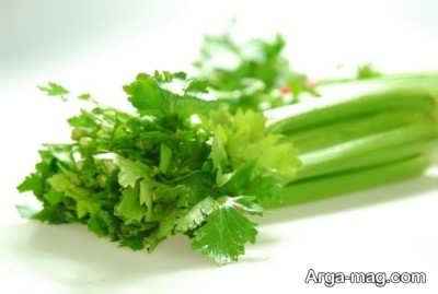 خواص کرفس برای لاغری