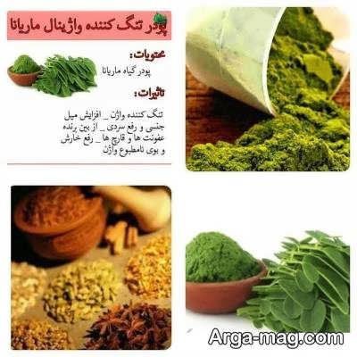 گیاه ماریانا و خواص بسیار آن