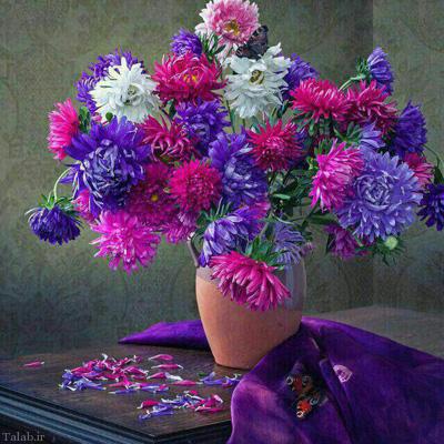 جملات خواندنی و شنیدنی از بزرگان