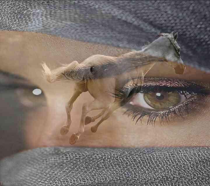 اس ام اس عاشقانه زیبا برای همسر | متن عاشقانه زیبا برای همسر عزیزم