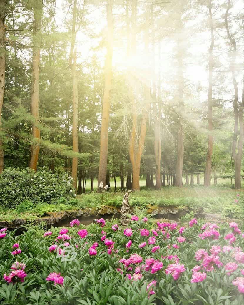 اس ام اس صبح بخیر زیبا + پیامک صبح بخیر گفتن اس ام اس صبح بخیر زیبا + پیامک صبح بخیر گفتن