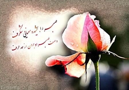 اس ام اس تبریک روز پرستار (متن و کارت پستال روز پرستار) اس ام اس تبریک روز پرستار (متن و کارت پستال روز پرستار)