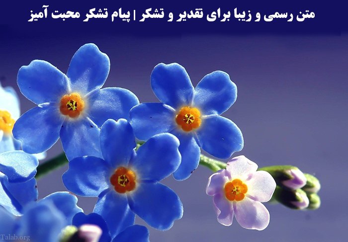 متن رسمی و زیبا برای تقدیر و تشکر | پیام تشکر محبت آمیز متن رسمی و زیبا برای تقدیر و تشکر | پیام تشکر محبت آمیز