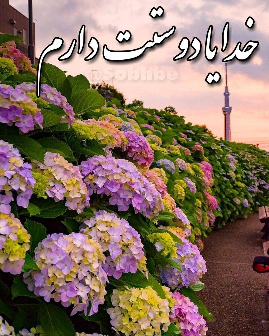 اس ام اس عصر بخیر عشقم | عکسهای عصر بخیر | جملات عصر بخیر