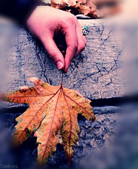 متن زیبای پاییزی | عکس و متن عاشقانه در مورد پاییز متن زیبای پاییزی | عکس و متن عاشقانه در مورد پاییز