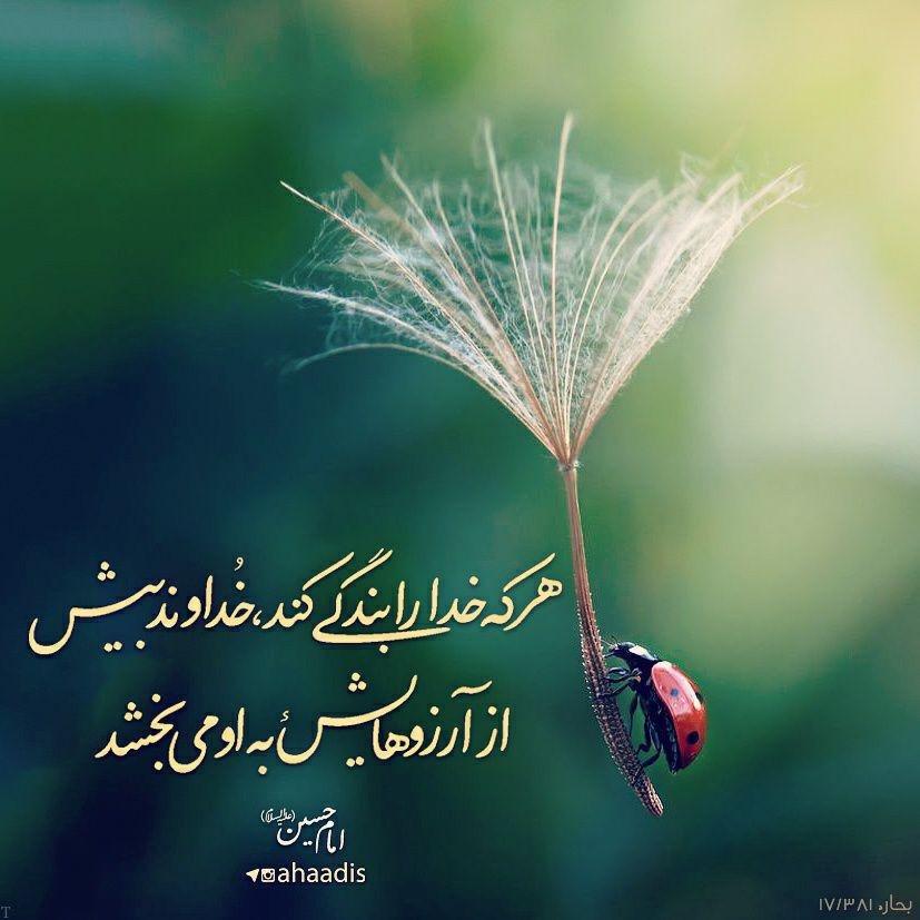 جملات زیبای تبریک ولادت امام حسین (ع) | دوبیتی های ولادت امام حسین (ع)