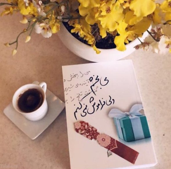 متن های زیبا درباره بخشش و مهربانی | اس ام اس بخشیدن و گذشت