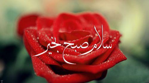 سری جدید پیامک های صبح بخیر گفتن 99 سری جدید پیامک های صبح بخیر گفتن 99