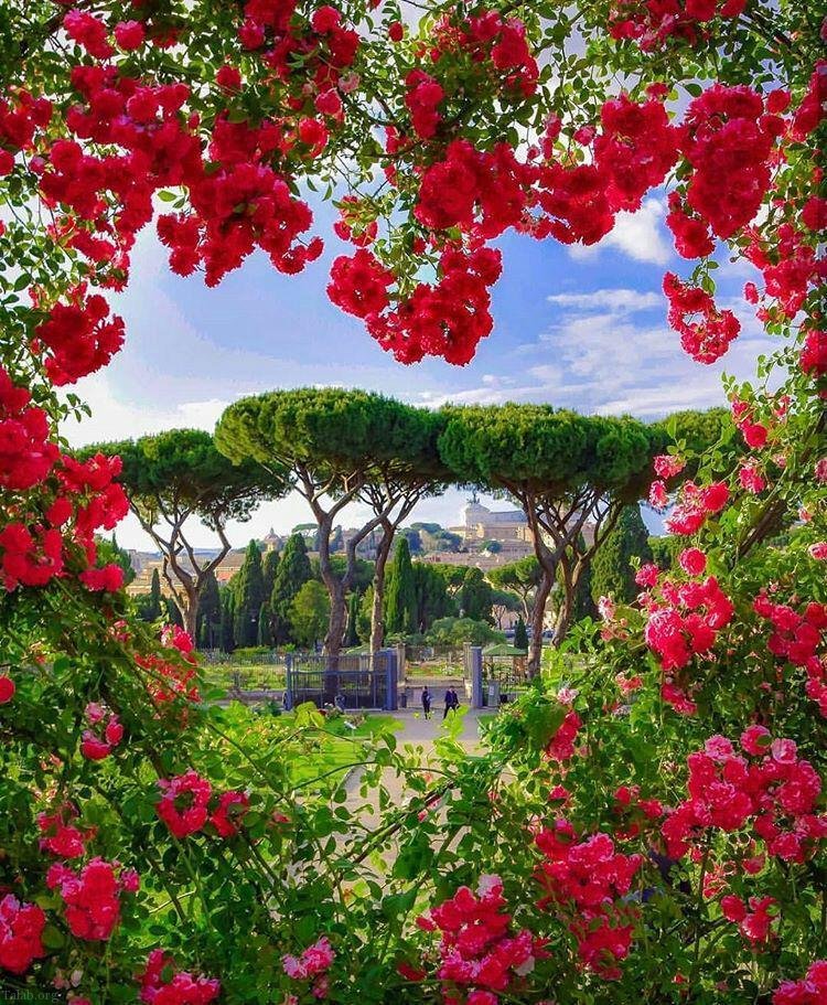 اس ام اس صبح بخیر زیبا + پیامک صبح بخیر گفتن اس ام اس صبح بخیر زیبا + پیامک صبح بخیر گفتن