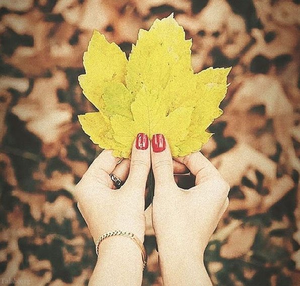 اس ام اس عاشقانه زیبا برای همسر | متن عاشقانه زیبا برای همسر عزیزم