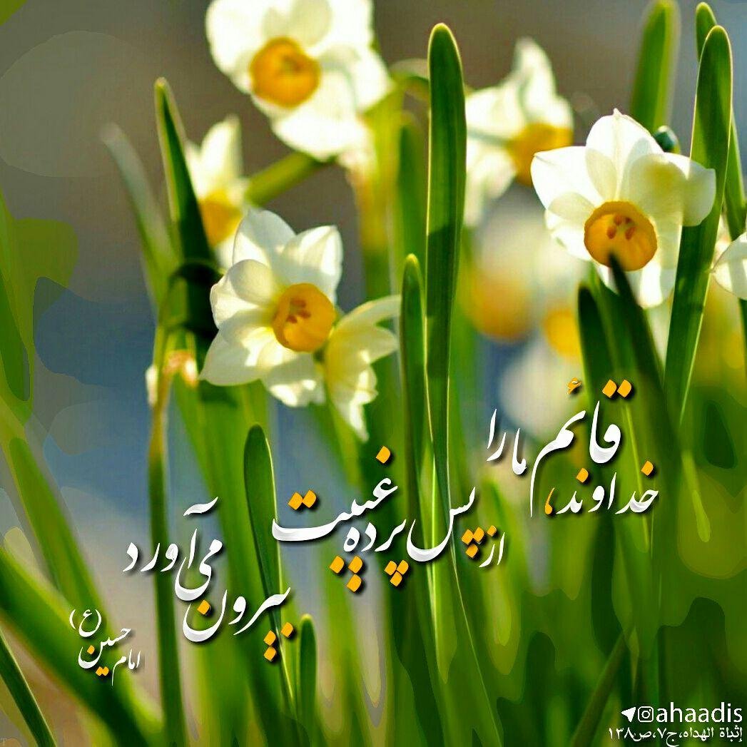 جملات زیبای تبریک ولادت امام حسین (ع) | دوبیتی های ولادت امام حسین (ع)