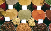 مشاوره طب سنتی