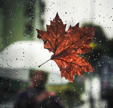 متن زیبای پاییزی | عکس و متن عاشقانه در مورد پاییز متن زیبای پاییزی | عکس و متن عاشقانه در مورد پاییز