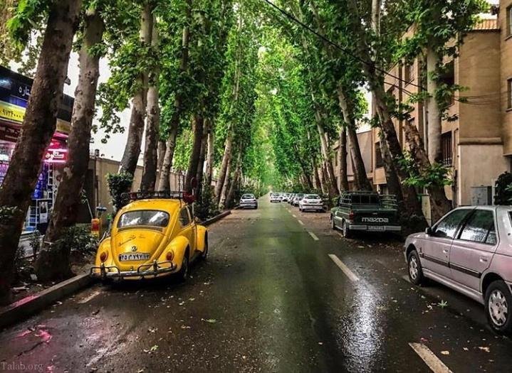 متن زیبای پاییزی | عکس و متن عاشقانه در مورد پاییز متن زیبای پاییزی | عکس و متن عاشقانه در مورد پاییز