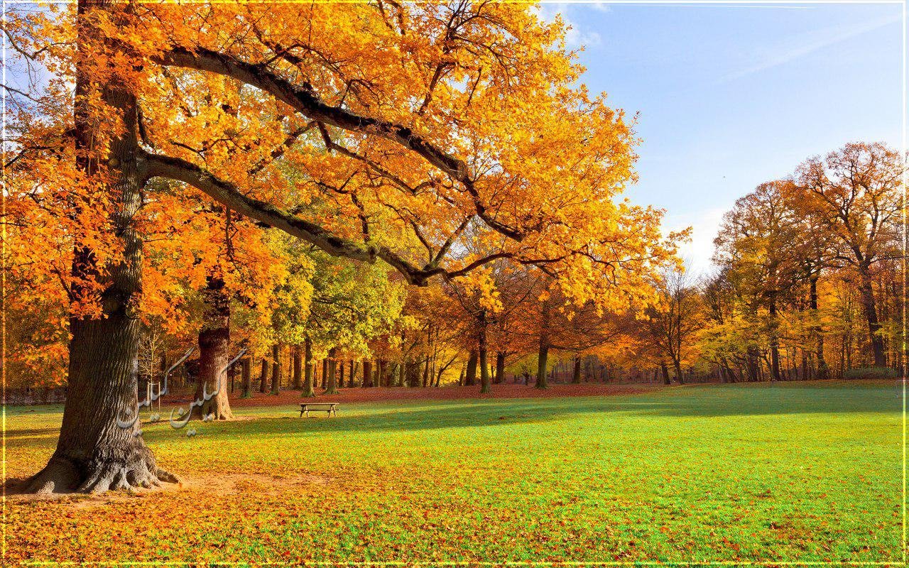 اس ام اس تبریک صبح بخیر گفتن (99)