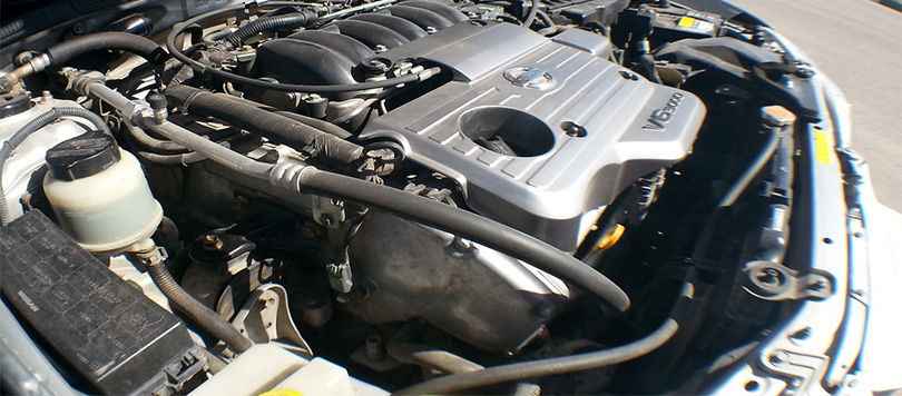 معایب ماکسیما