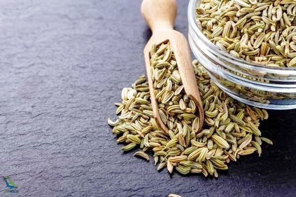 روغن رازیانه