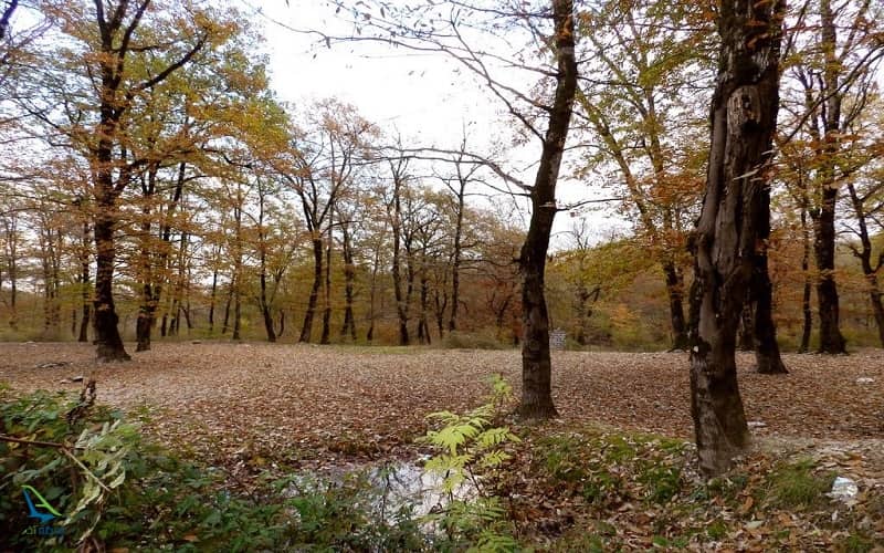 آبشار آب پری