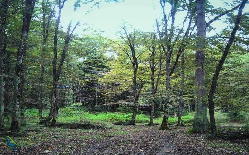 آبشار آب پری