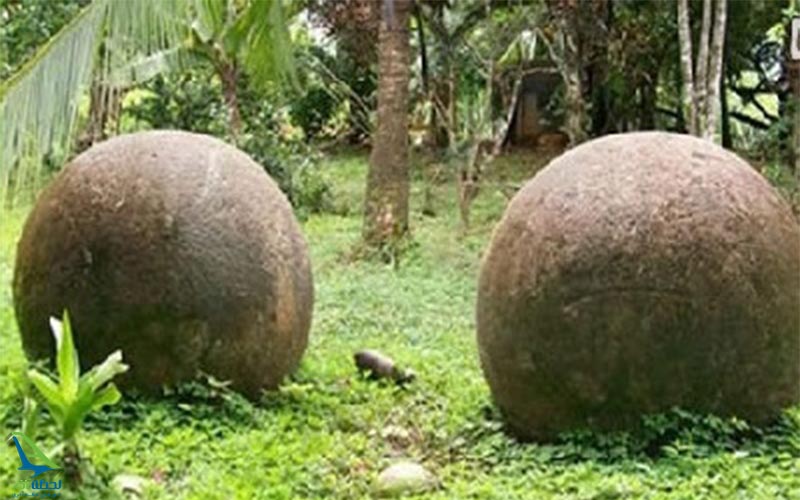 جنگل های آمازون