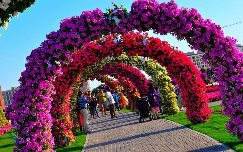 راهرو پوشیده از گل باغ معجزه دبی