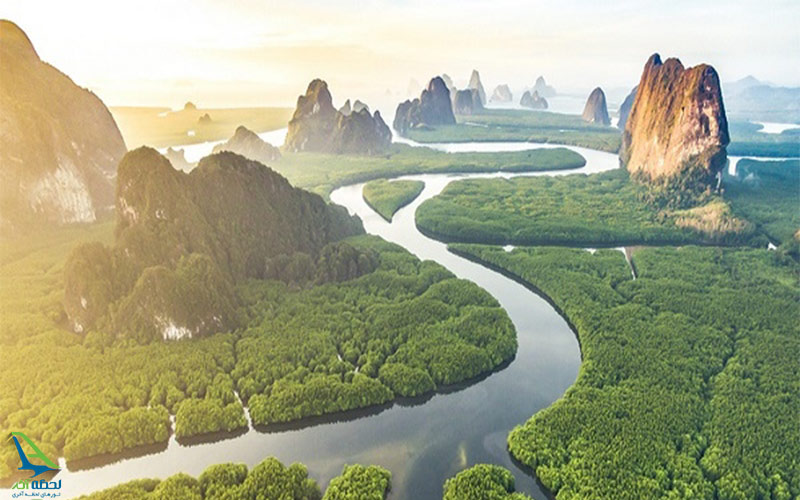 جنگل های آمازون