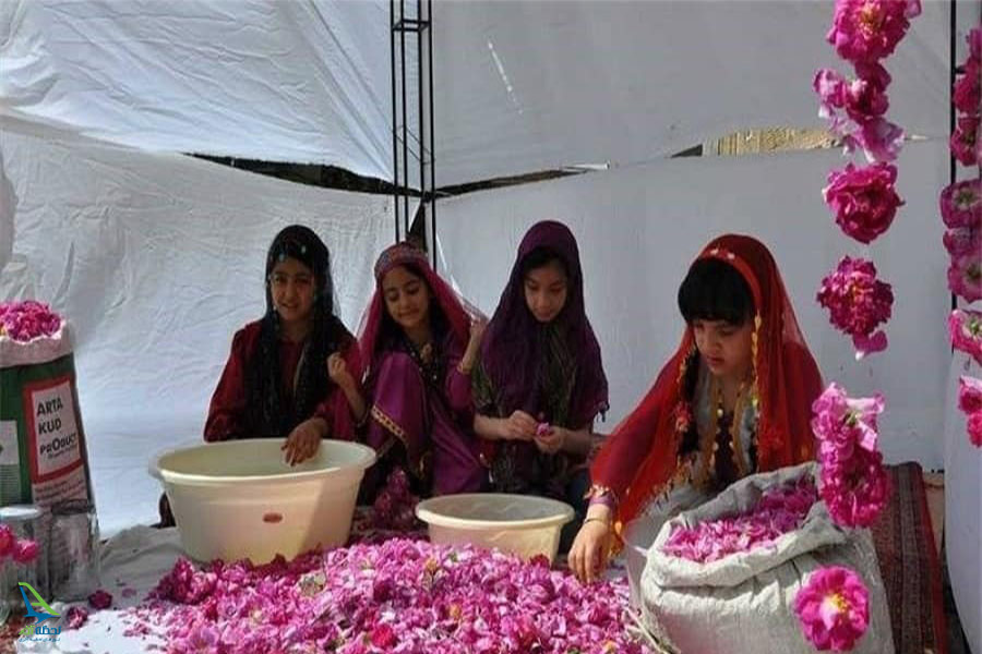 گلاب گیری کاشان