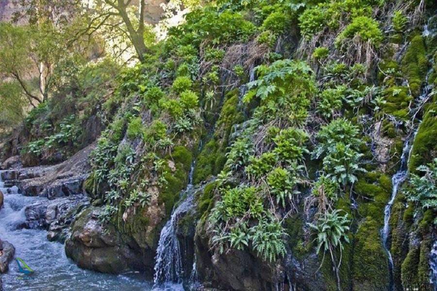 روستای ارنگه