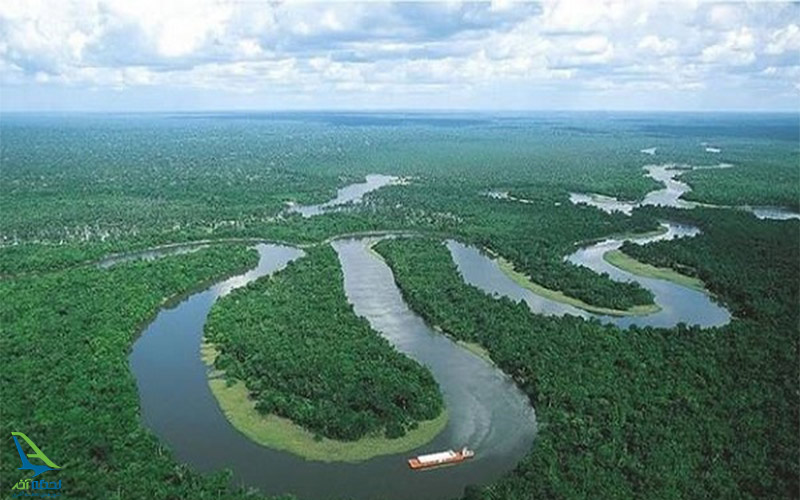 جنگل های آمازون