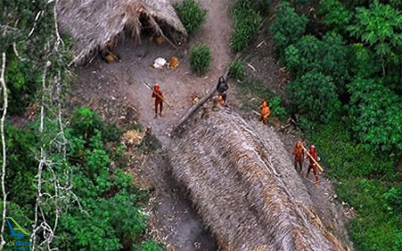 جنگل های آمازون