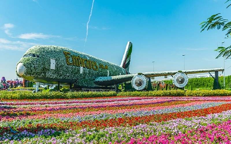 هواپیما باغ معجزه دبی