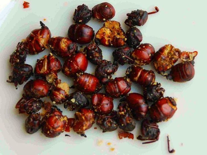 مردم کشورهای مختلف در سینما چه می خورند؟+ تصاویر