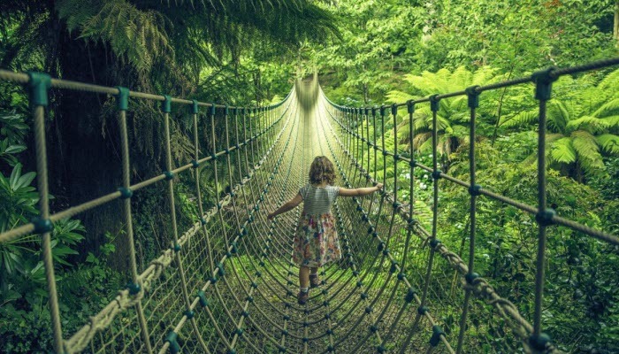 اسرار گمشده باغ گیاه شناسی انگلیس + تصاویر