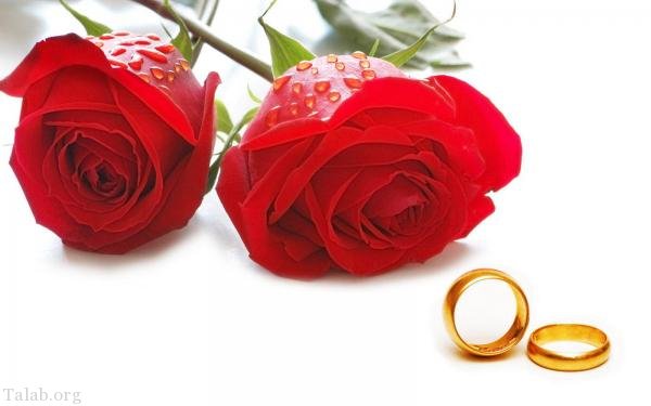 120 عکس پروفایل گل زیبا | زیباترین عکس های گل برای پروفایل
