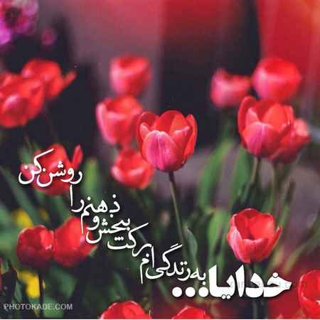 عکس نوشته دار گل - کامل (هلپ کده)