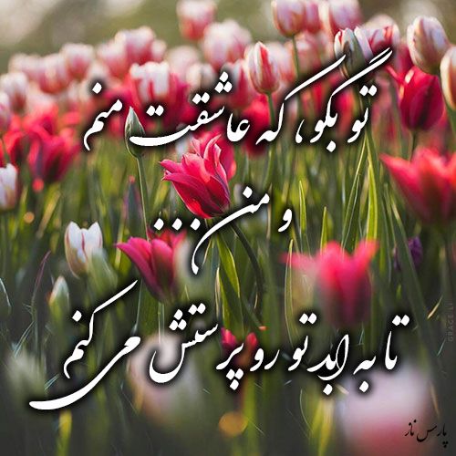 عکس پروفایل گل عاشقانه + متن آهنگ های عاشقانه و زیبا